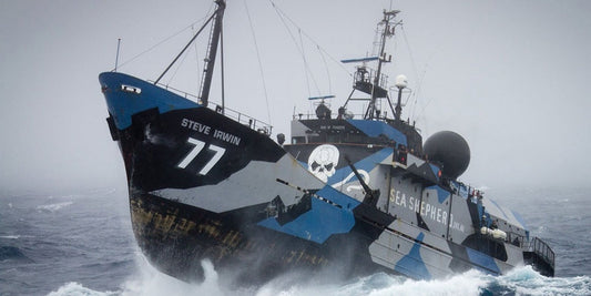 Credit: Sea Shepherd Global